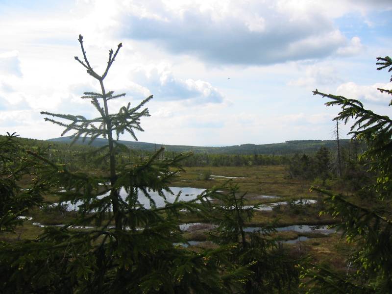 142-4281_IMG.JPG