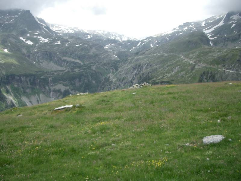 CIMG3147.JPG