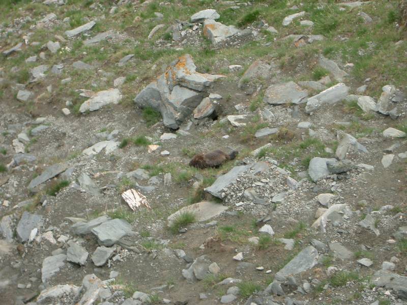 CIMG3194.JPG