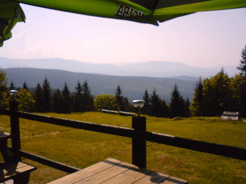 DSC00687.JPG