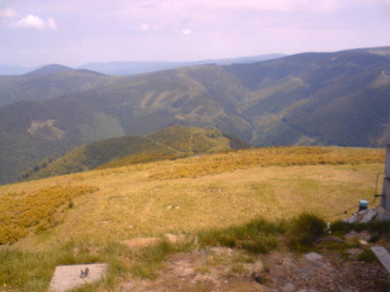 DSC00706.JPG