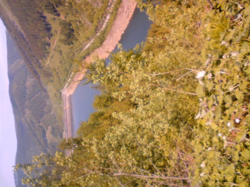 DSC00716.JPG