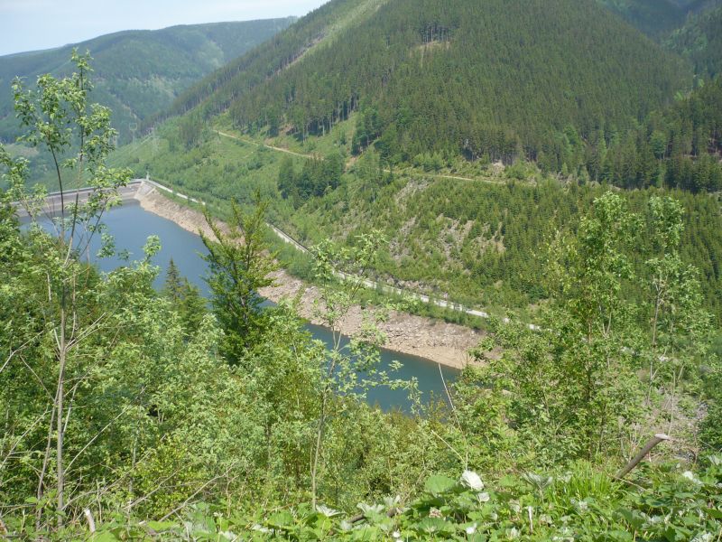 P1000109.JPG