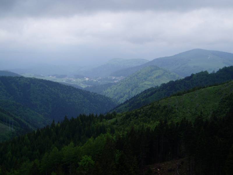 P6050035.JPG