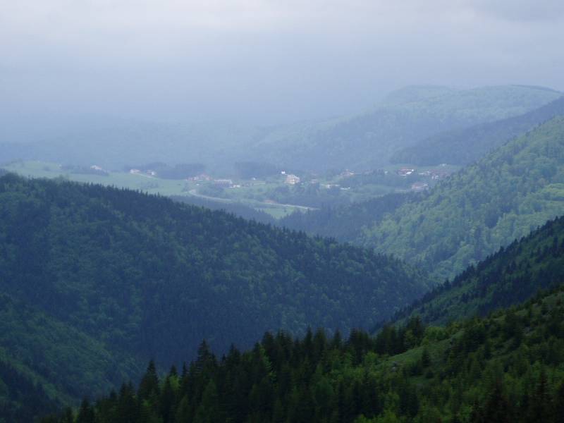 P6050036.JPG