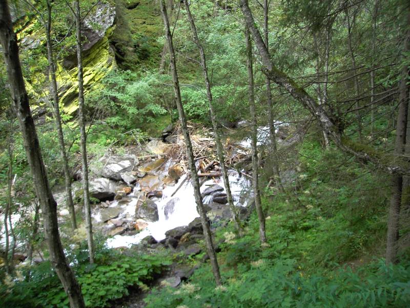 PICT0679.JPG