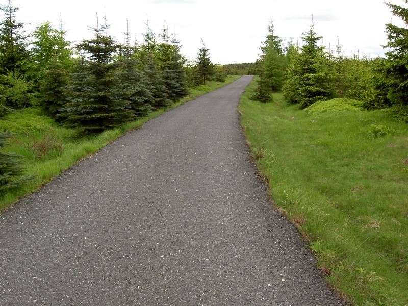PICT4381.JPG
