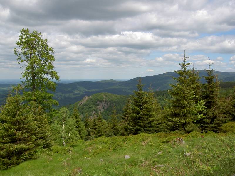 PICT4392.JPG