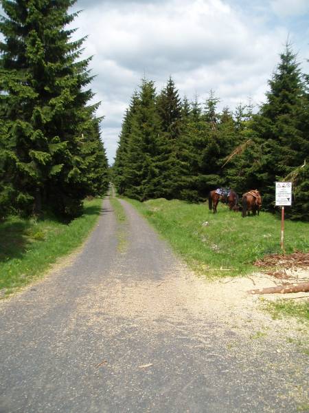 foto 011.jpg