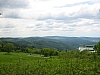 142-4261_IMG.JPG 142-4261_IMG.JPG
