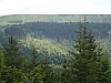 P1000099.JPG P1000099.JPG