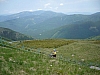 P1000106.JPG P1000106.JPG