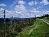 P6030050.JPG P6030050.JPG