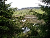 P6030066.JPG P6030066.JPG