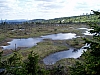P6030067.JPG P6030067.JPG