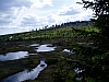 P6030068.JPG P6030068.JPG