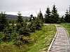 P6040069.JPG P6040069.JPG