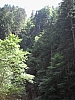PICT0617.JPG PICT0617.JPG
