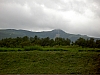 PICT4432.JPG PICT4432.JPG